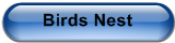Birds Nest